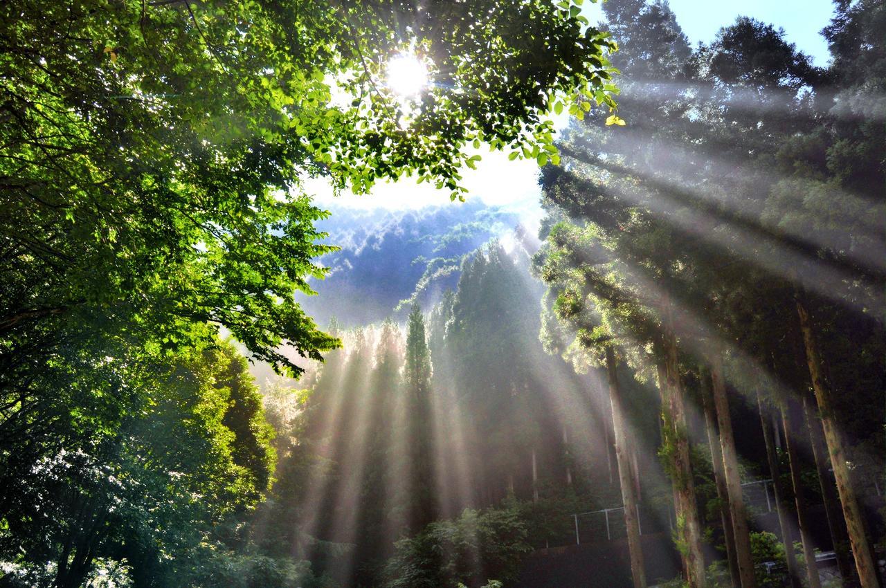 传统日式旅馆 Fujiiso (adults Only) 高山