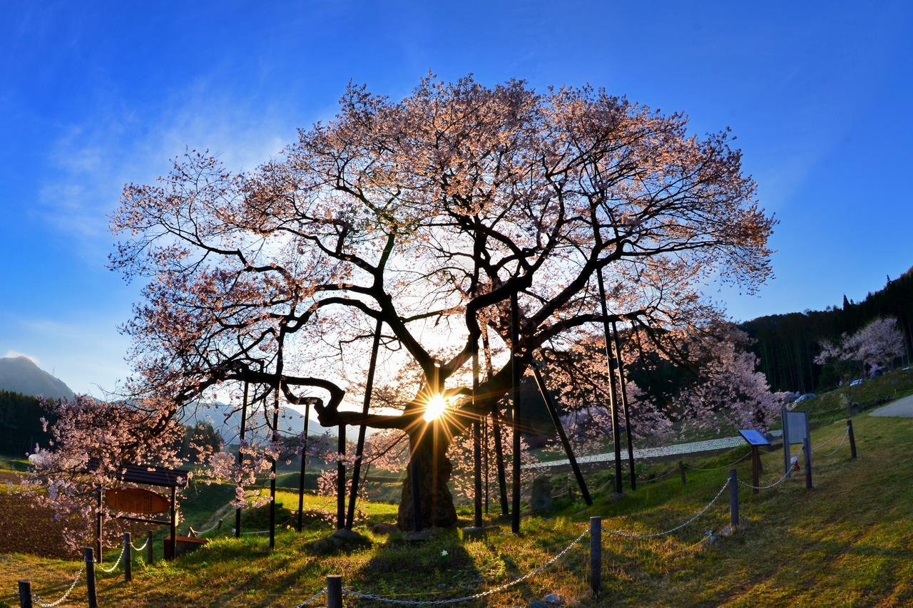 Fujiiso (adults Only) 传统日式旅馆 高山